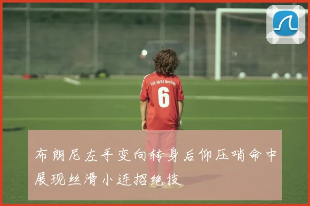 布朗尼左手变向转身后仰压哨命中展现丝滑小连招绝技