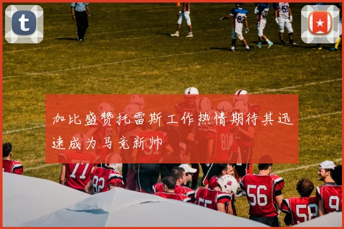 加比盛赞托雷斯工作热情期待其迅速成为马竞新帅
