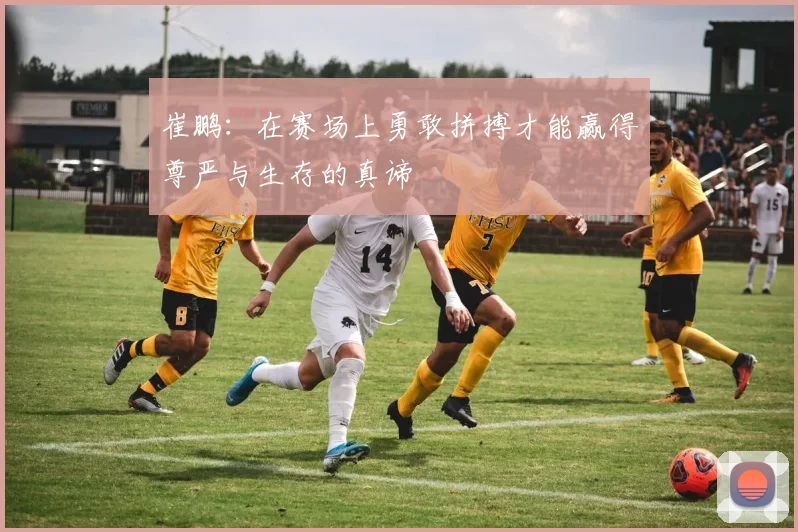 崔鹏：在赛场上勇敢拼搏才能赢得尊严与生存的真谛