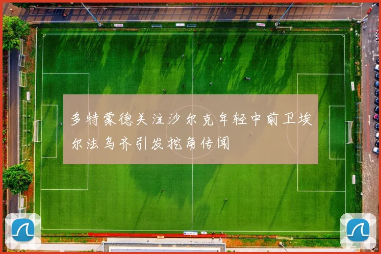 多特蒙德关注沙尔克年轻中前卫埃尔法乌齐引发挖角传闻