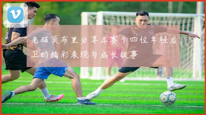 老猫莫布里分享本赛季四位年轻后卫的精彩表现与成长故事