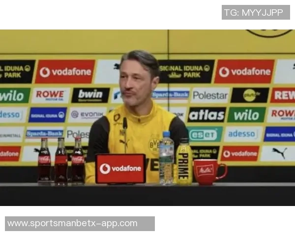 萨默尔力挺科瓦奇认为多特正经历过渡期不应全责归于教练